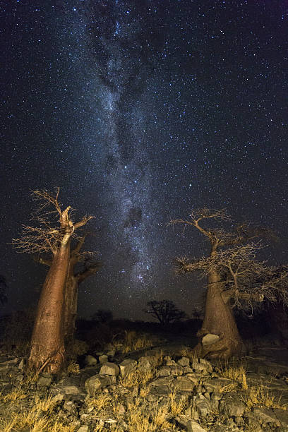 istock The Milkyway at Kubu Island 629410856