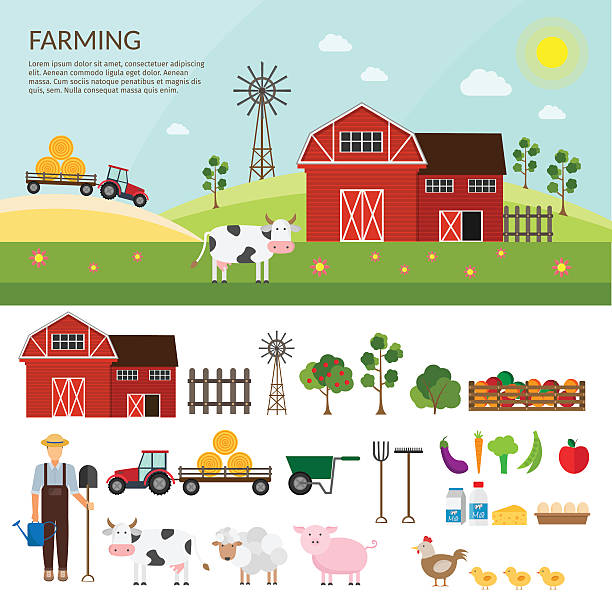 ilustraciones, imágenes clip art, dibujos animados e iconos de stock de gran conjunto de elementos de granja vectoriales y fondo de animales. - casa rural