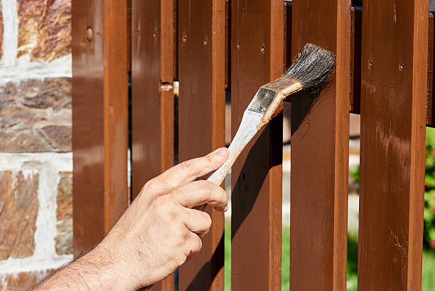 istock Painting a fence 629413574