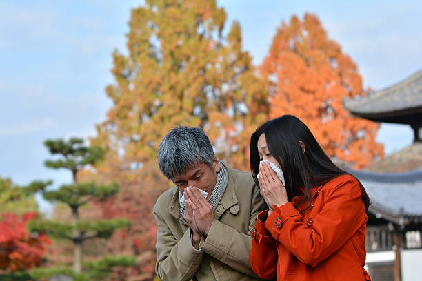 Japanese couple in their 40s sneezing at Tofuku-ji Temple stock photo