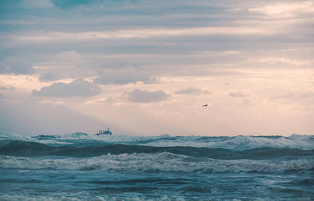 istock the landscape sea waves 629419872