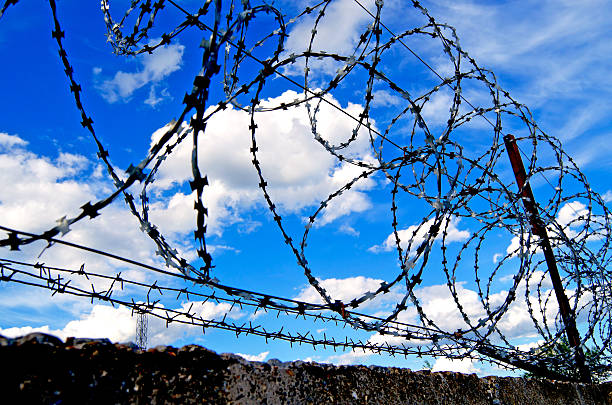 istock Barbed wire against the sky. 629421754