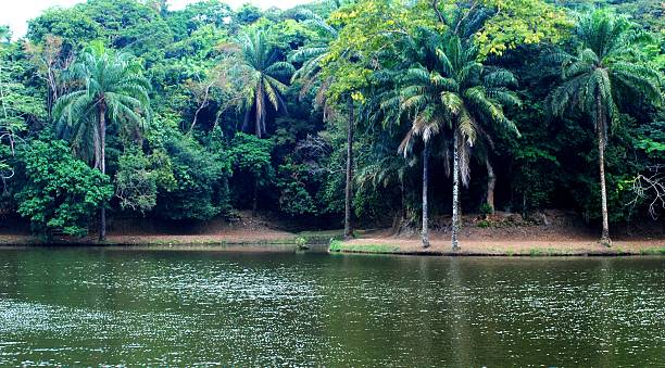 Beautiful lake in Africa. Beautiful lake in Africa. Democratic Republic of the Congo. kinshasa stock pictures, royalty-free photos & images
