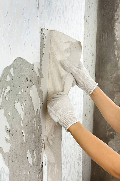 istock hands in gloves removing old wallpaper 629427588