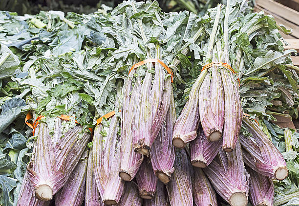 cynara cardunculus at market cynara cardunculus also kwnown as cardo is a typical italian vegetable thistle stock pictures, royalty-free photos & images