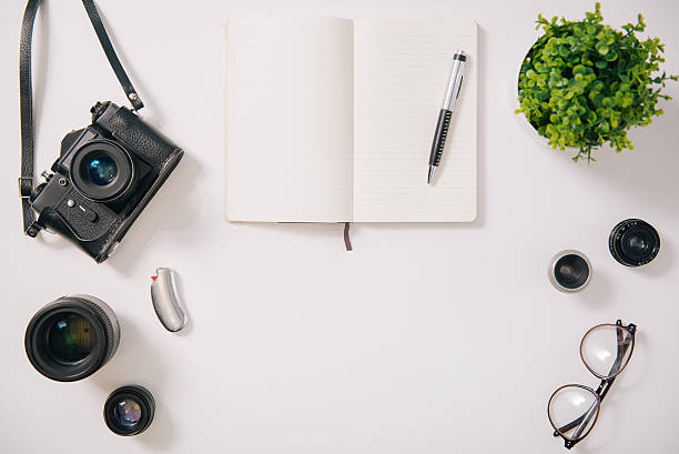 istock Green house plant standing near the notebook 629431712