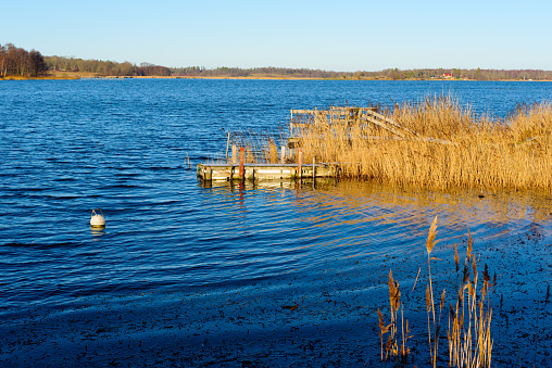 Homemade floating pier surrounded by reed on fine winter day in the south Swedish archipelago.