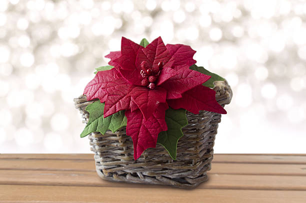 istock Poinsettia in a basket 629432974