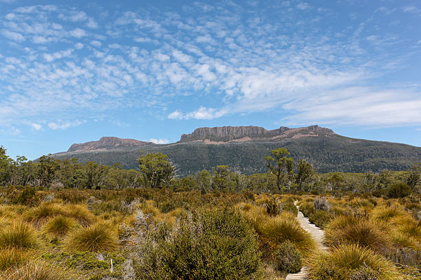 istock View from along the Overland Track in Tasmania 629434782