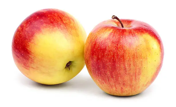 Two ripe red-yellow apples with a striped pattern isolated on white background.