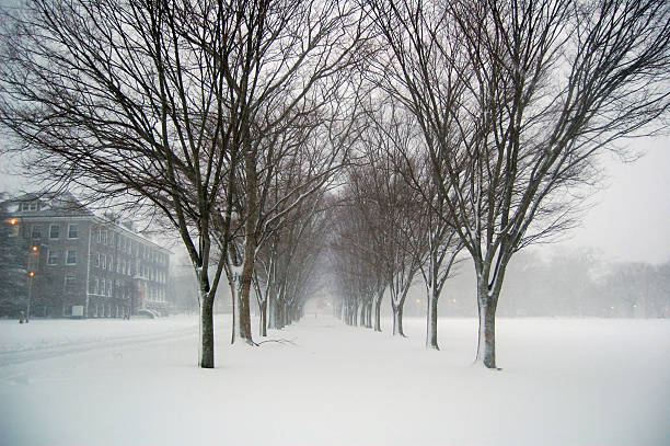 University of Rhode Island Quad in wintertime