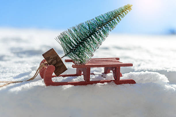 istock Red sleigh carrying a small Christmas tree 629441720