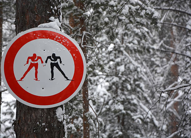 Skiers sign on the tree trunk