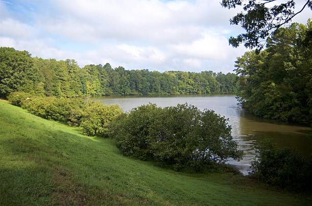 istock Green all around the lake 629446658