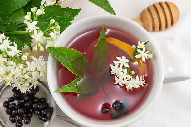Cup of fresh elderberry tea with berries and honey