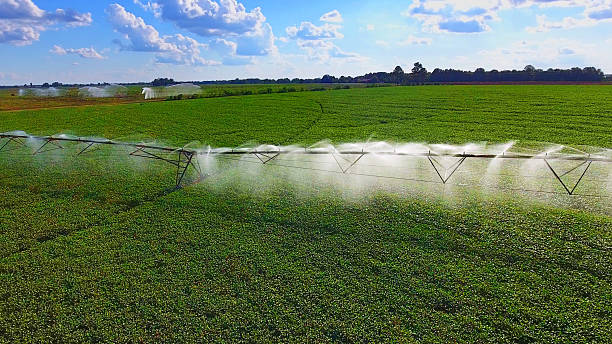 istock Agricultural Sprinkler 629455098