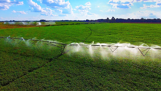 istock Agricultural Sprinkler 629455112