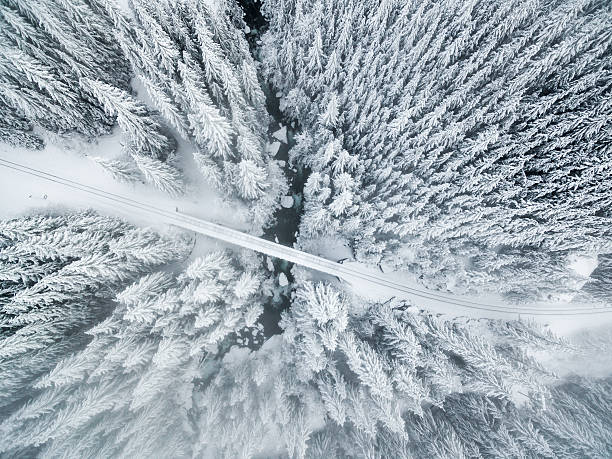 invernali wonderland  - tree leavenworth snow sky foto e immagini stock