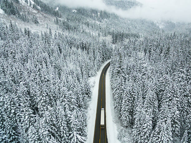 冬のワンダーランド  - landscaped landscape winter usa ストックフォトと画像