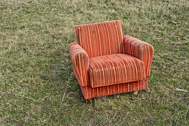 istock Armchair in the field 629458322