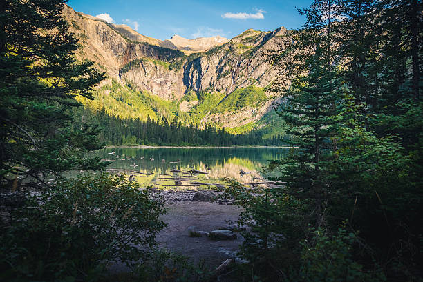 istock Forest opening leading to a lake. 629459372