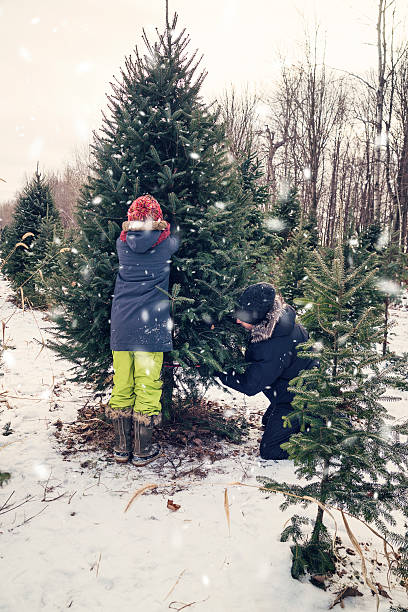istock Dad cutting perfect Christmas tree with helping daughter outdoors winter. 629459650