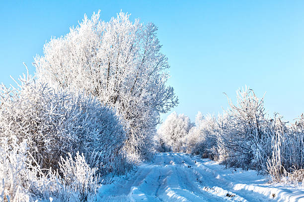 istock Countryside road through winter field 629459880