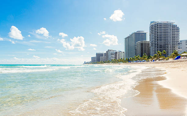 sunny bal harbour beach architektura cityscape miami florida travel destinations - miami florida zdjęcia i obrazy z banku zdjęć