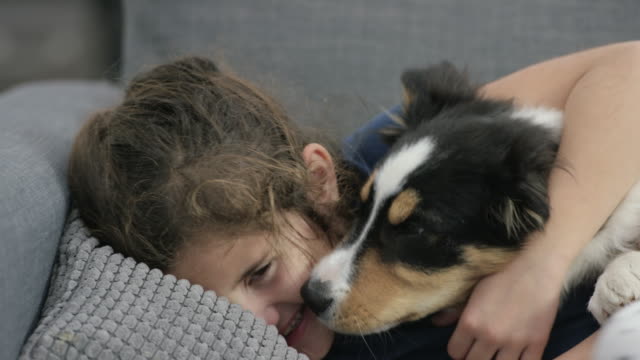 Elementary age ethnic girl laughing and smiling as her cute border collie puppy is licking her face on the couch.