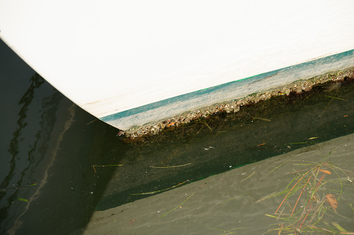Closeup of very heavy organic fouling on boat hull with barnacle, weed and soft growth which causes the boat to go much slower. This boat needs cleaning, primer and new antifouling bottom paint.