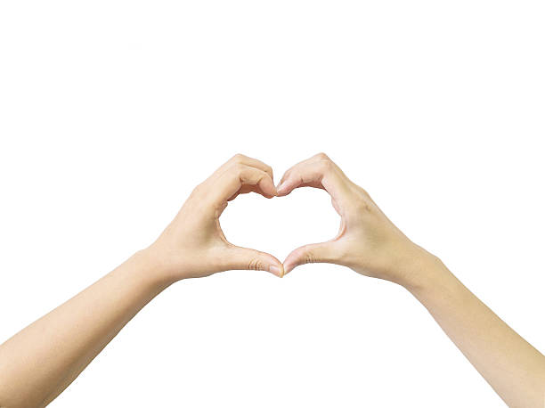 istock Closeup heart shape by two hand isolated on white background 629494810