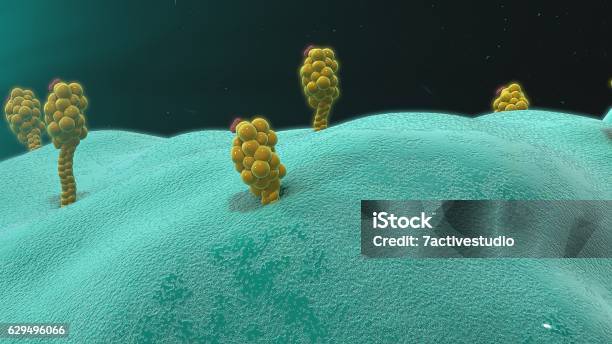 Antigen Presenting Cells Stock Photo - Download Image Now - Letter T, Assistance, Receptor