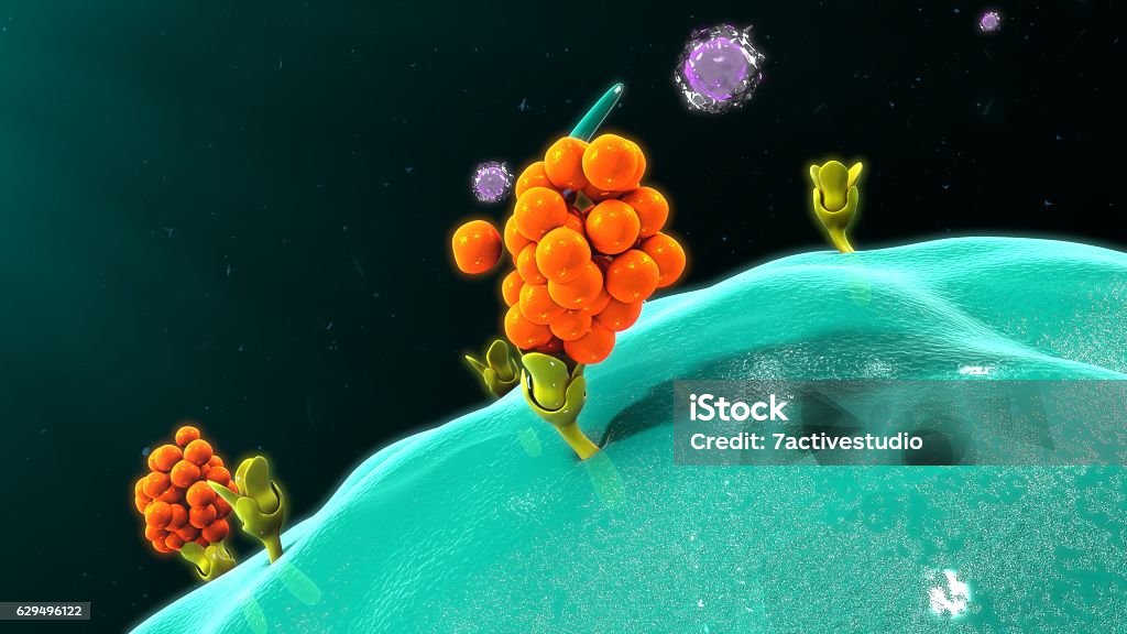 Makrophagen, das Zytokine freisetzt - Lizenzfrei Immunsystem Stock-Foto