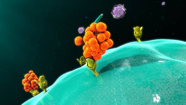 Macrophage releasing cytokines stock photo