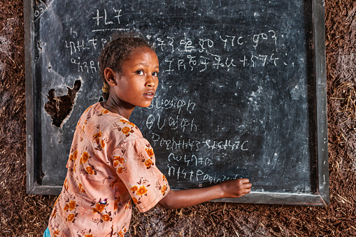 African little girl during her Amharic class in very remote school. The bricks that make up the walls of the school are made of clay and straw. There is no light and electricity inside the classroomhttp://bhphoto.pl/IS/ethiopia_380.jpg