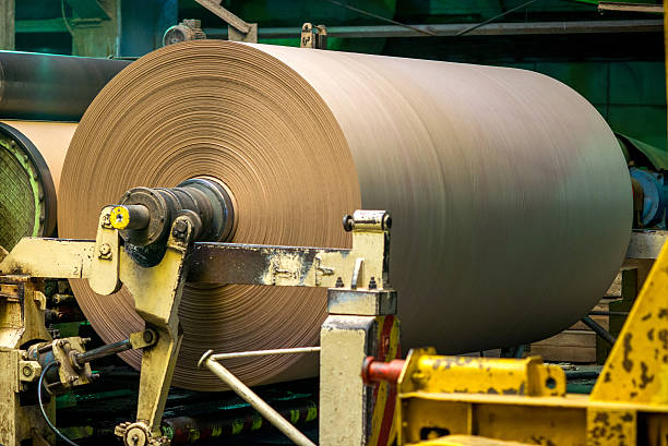 Paper mill factory