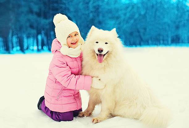 istock Happy smiling child playing with white Samoyed dog winter 629529726