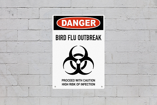 Peligro - Brote de gripe aviar photo