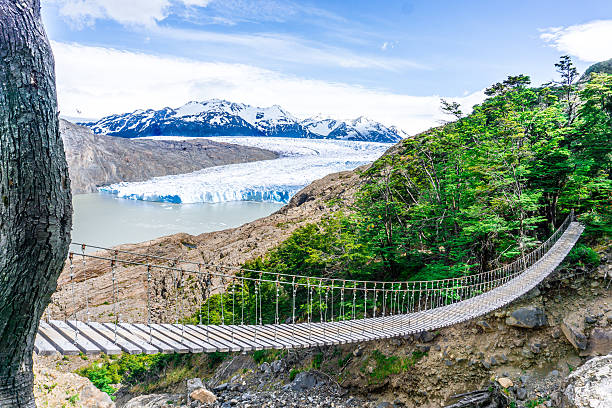 w-circuit torres del paine, chili - chilean culture chile forest the americas photos et images de collection