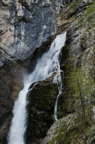 Top of the Savica Waterfall stock photo