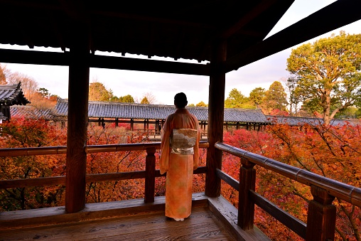 A Japanese woman in kimono and autumn foliage at Tofuku-ji Temple in Kyoto, Japan. 