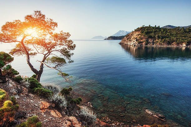 istock Panoramic view on sea coast. Turkey 629555396