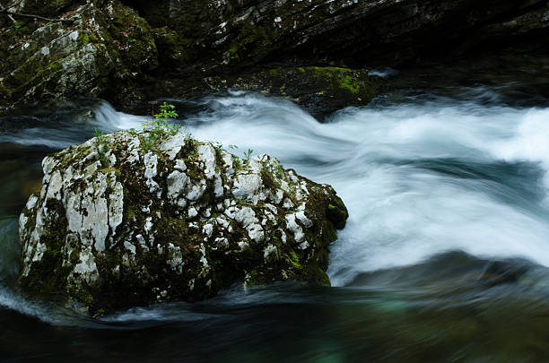 Radonva River flowing around a rock stock photo