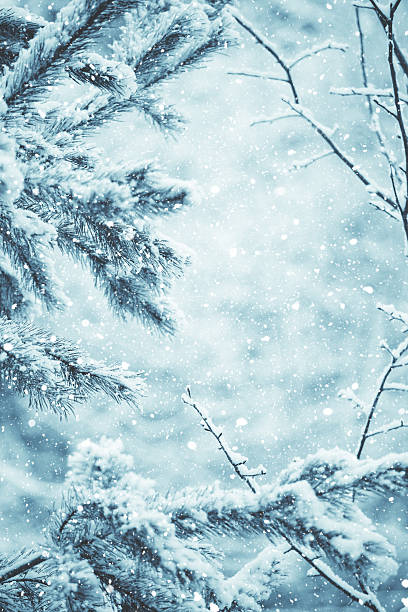Backyard in Winter snowstorm, Worcester, Pennsylvania, USA
