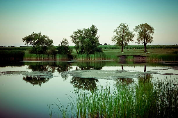 istock Reflections of green trees, blue sky and clouds in the 629557422