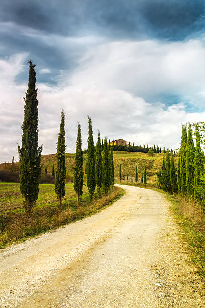 istock Typical landscape of Tuscany 629558426