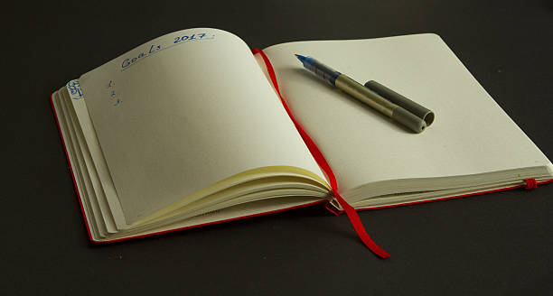 istock Goals for 2017 written in the organizer and pen it 629566096