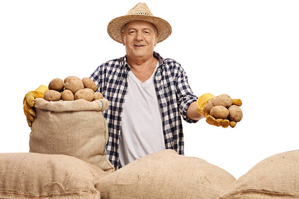 istock Mature farmer with a burlap sack and potatoes 629573316