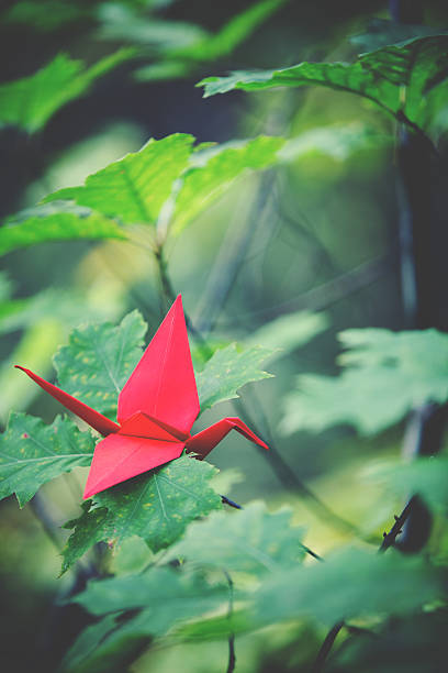 istock Red origami crane on a tree branch 629578834