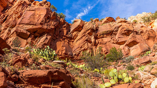 istock The rays of the sun illuminate red cliffs. 629583858
